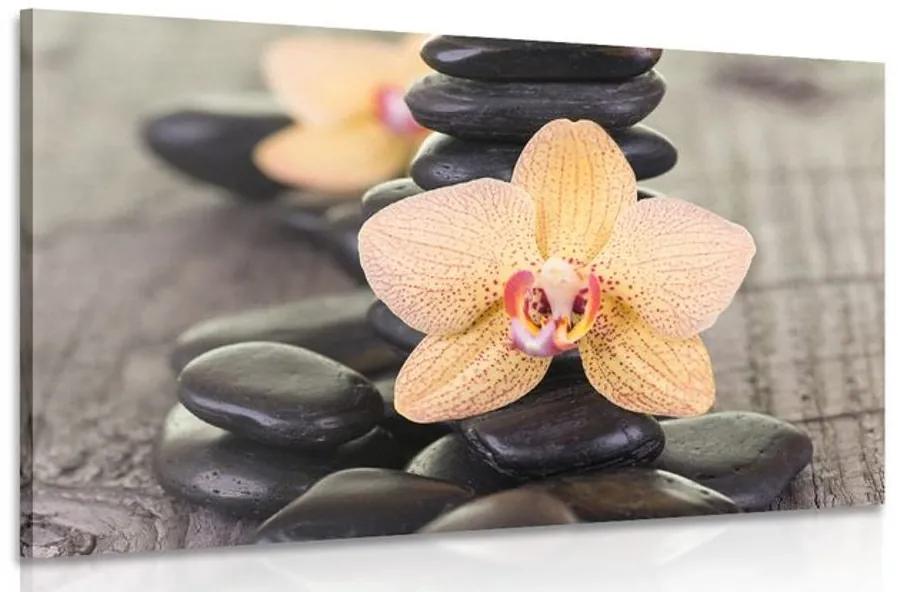 Obraz žltá orchidea a Zen kamene Varianta: 90x60