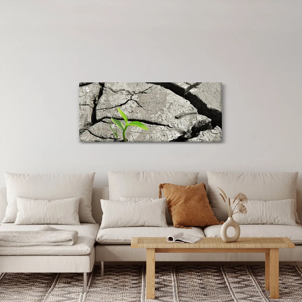 Obraz - Praskliny (120x50 cm)