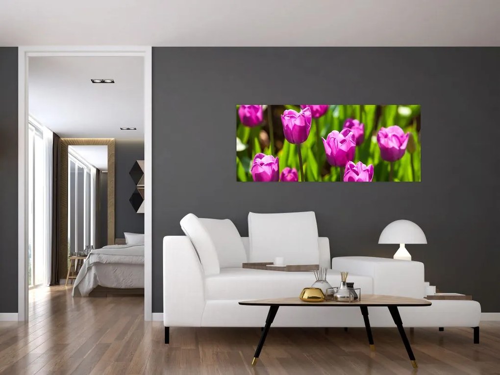 Obraz tulipánov na lúke (120x50 cm)