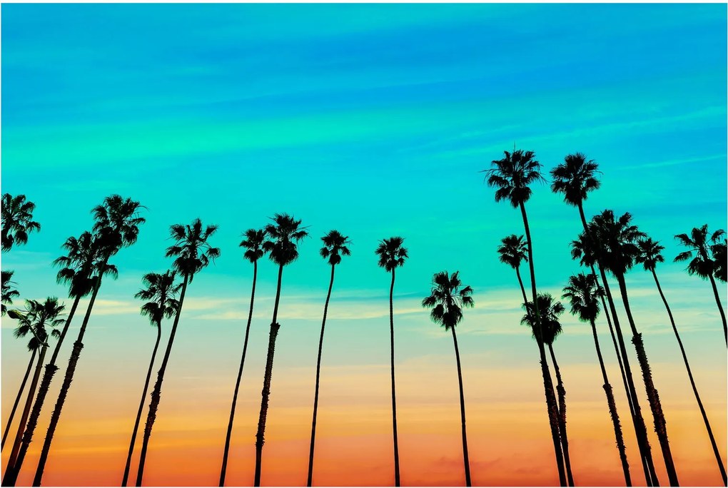 Obraz - Kalifornia (90x60 cm)