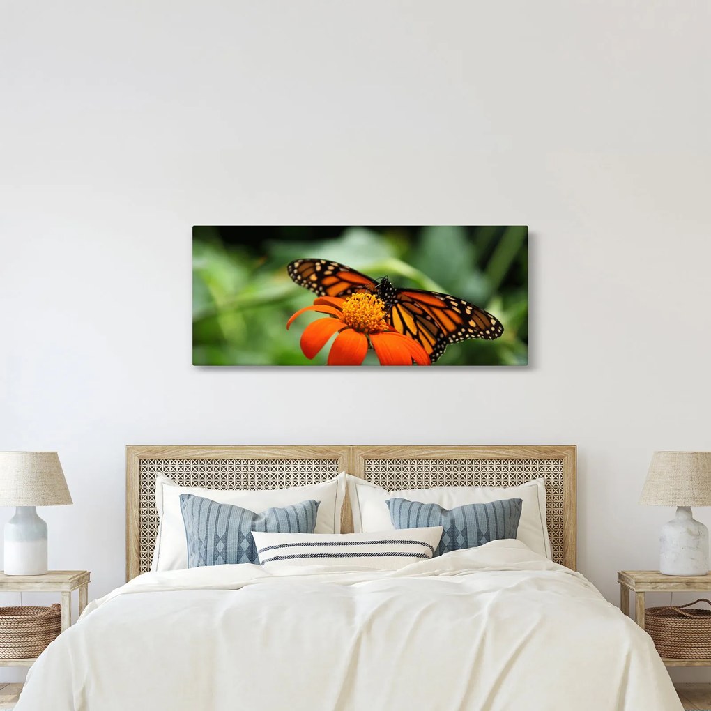 Obraz motýľa na kvetine (120x50 cm)