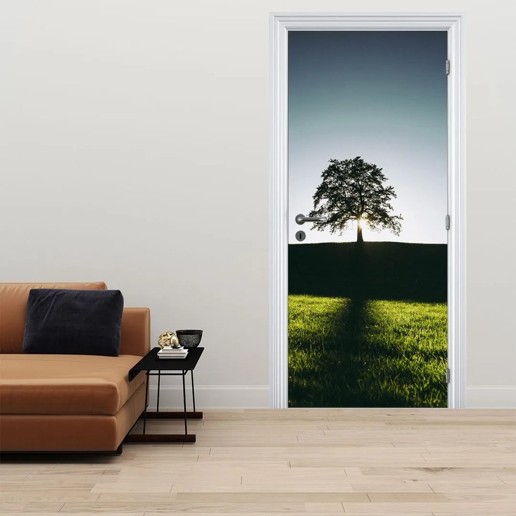 Fototapeta na dvere - Strom (95x205cm)