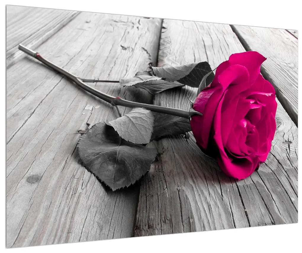 Obraz ružovej ruže (90x60 cm)