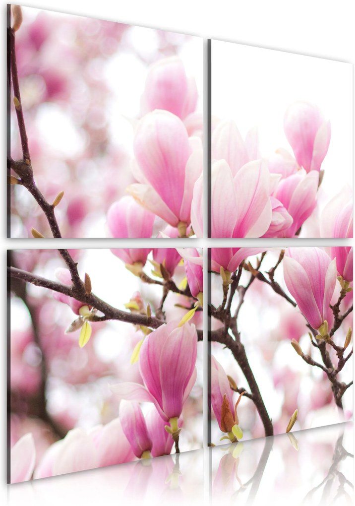 Obraz - Blooming magnolia tree 40x40