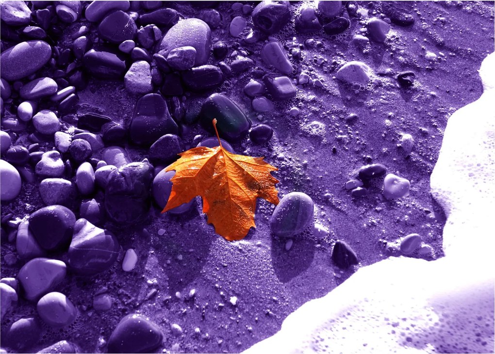 Sklenený obraz - Morská pláž (70x50 cm)