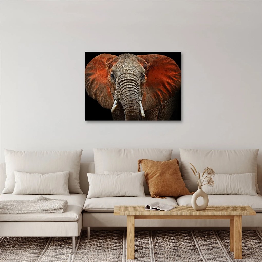 Obraz - Slony z Tsavo (70x50 cm)