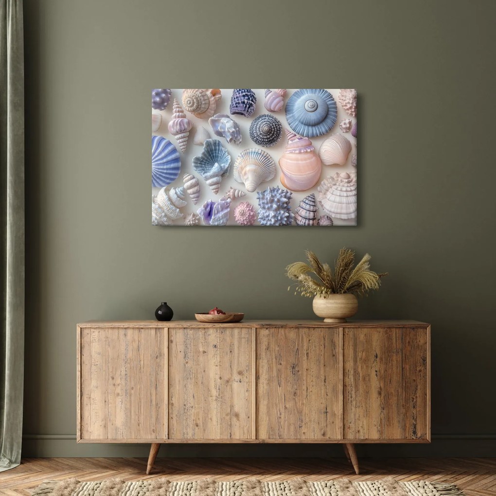 Obraz - Zbierka mušlí (90x60 cm)