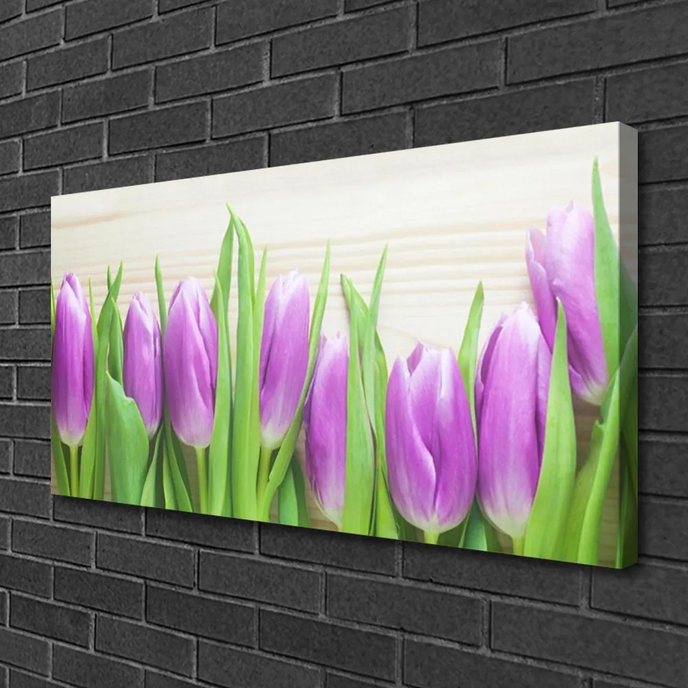 Obraz Canvas Tulipány kvety príroda 140x70 cm