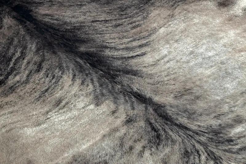 Kobercová umelá hovädzia koža, krava G5067-4 sivá koža Veľkosť: 180x220 cm