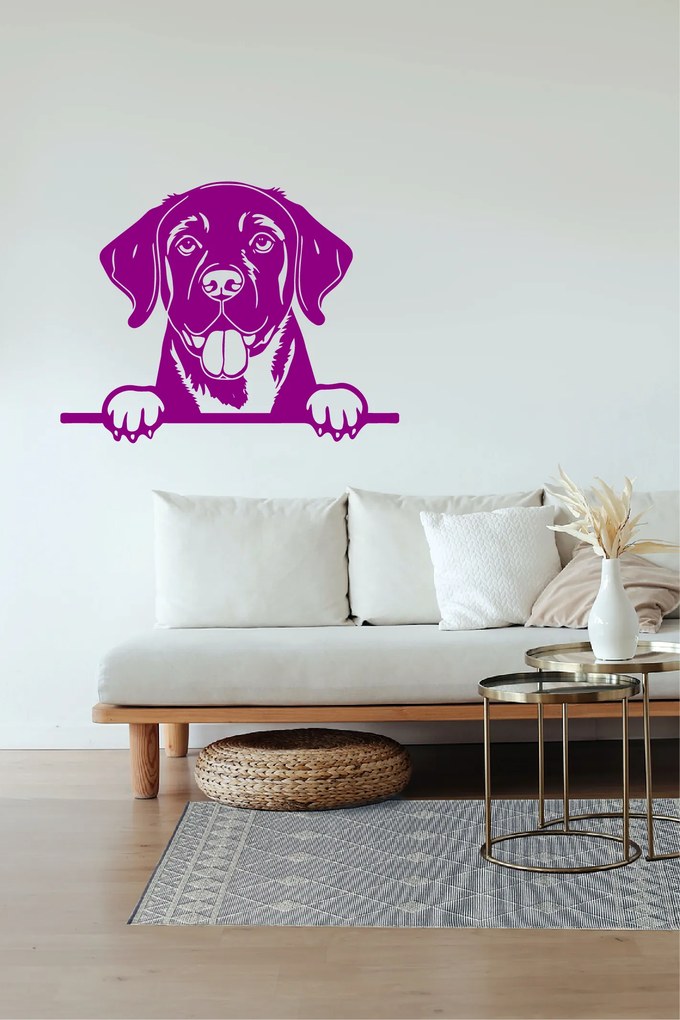 Veselá Stena Samolepka Labradorský retriever Farba: červená, Veľkosť: 60 x 46 cm