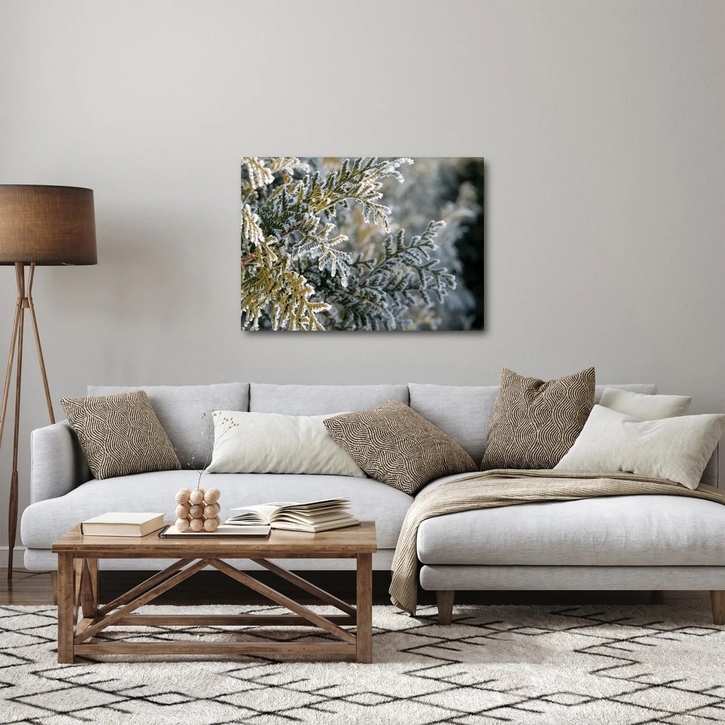 Obraz - Detail vetvy (70x50 cm)