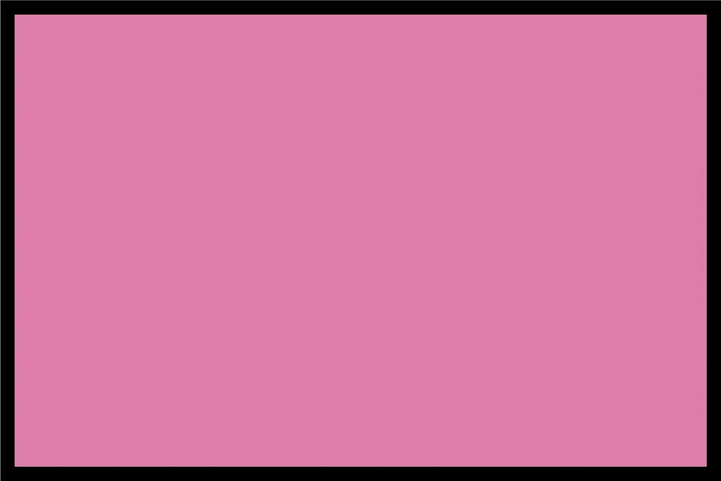 Navrhnuteľná rohožka Flat Prémium (Vyberte veľkosť: 100*70, Vyberte farbu: 060 Ružová)