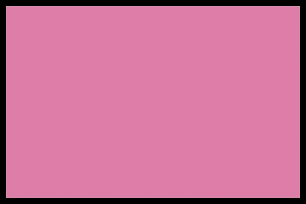 Navrhnuteľná rohožka Flat Prémium (Vyberte veľkosť: 75*50 cm, Vyberte farbu: 060 Ružová)