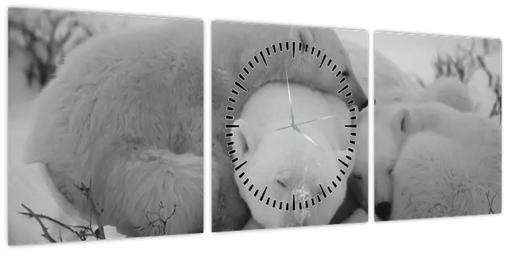 Obraz - Ľadové medvedíky, čiernobiela (s hodinami) (90x30 cm)