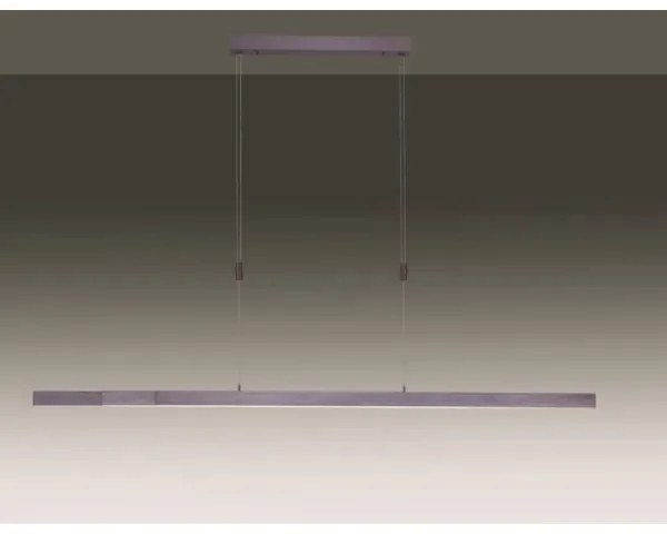 Paul Neuhaus 2568-24 - LED Stmievateľný luster na lanku ADRIANA LED/14W/230V