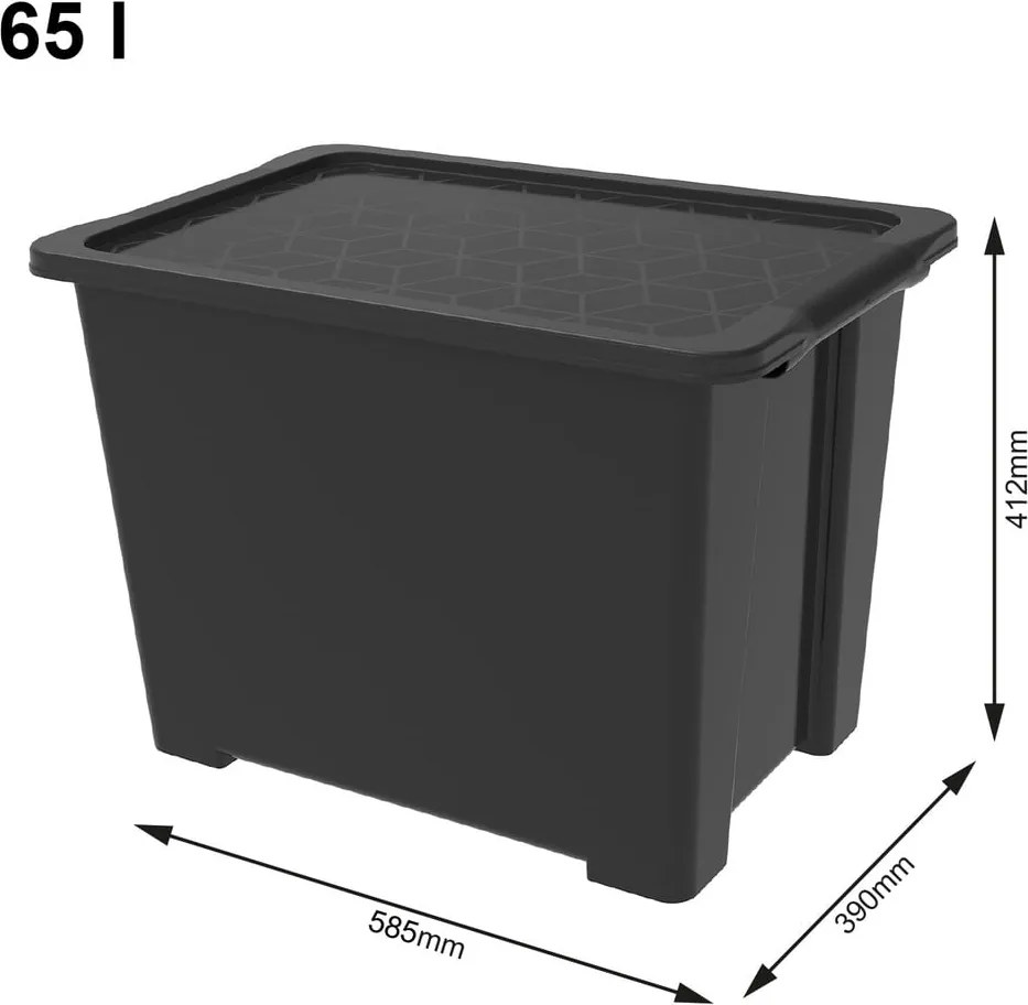 Lesklo čierny plastový úložný box s vekom Evo Easy - Rotho