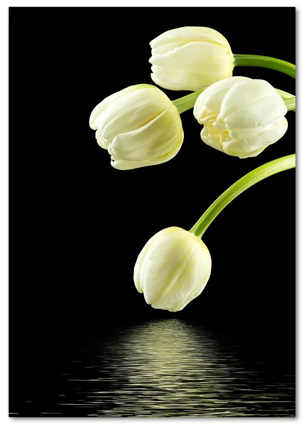 Foto obraz akryl do obývačky Biele tulipány pl-oa-70x100-f-53318527
