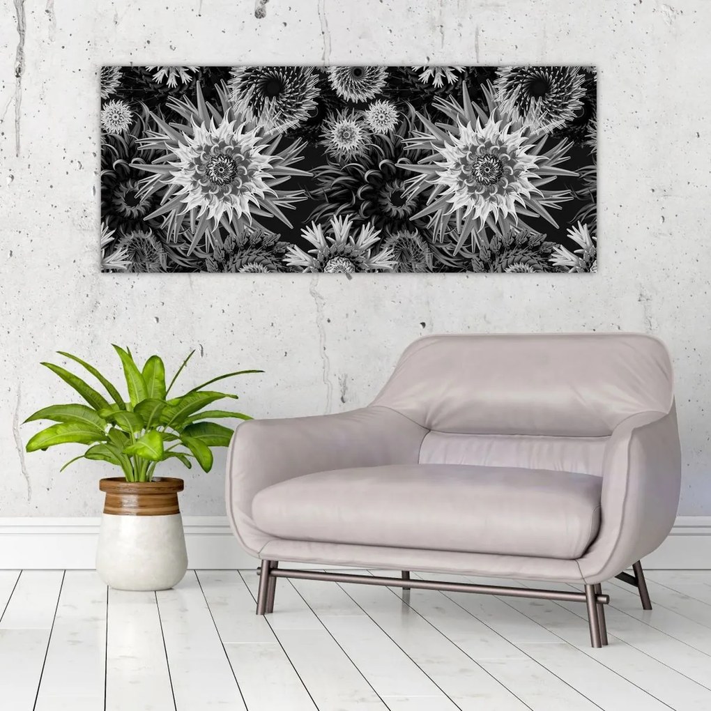 Obraz - Čiernobiele bodliaky (120x50 cm)