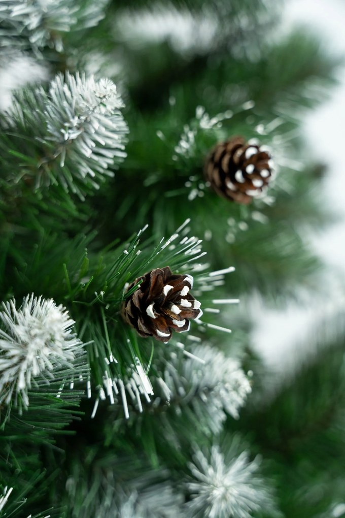 Limpol Vianočný stromček Borovica Verona biela Výška stromčeka: 180 cm