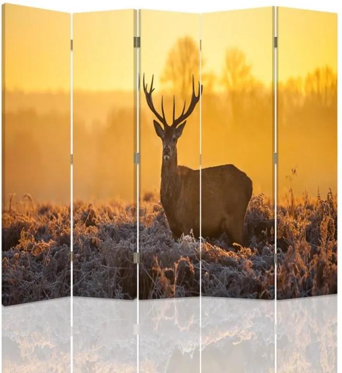 CARO Paraván - Deer At Sunset 2 | päťdielny | jednostranný 180x150 cm