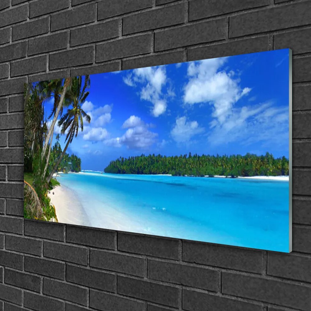 Obraz na skle Pláž palmy more krajina 140x70 cm