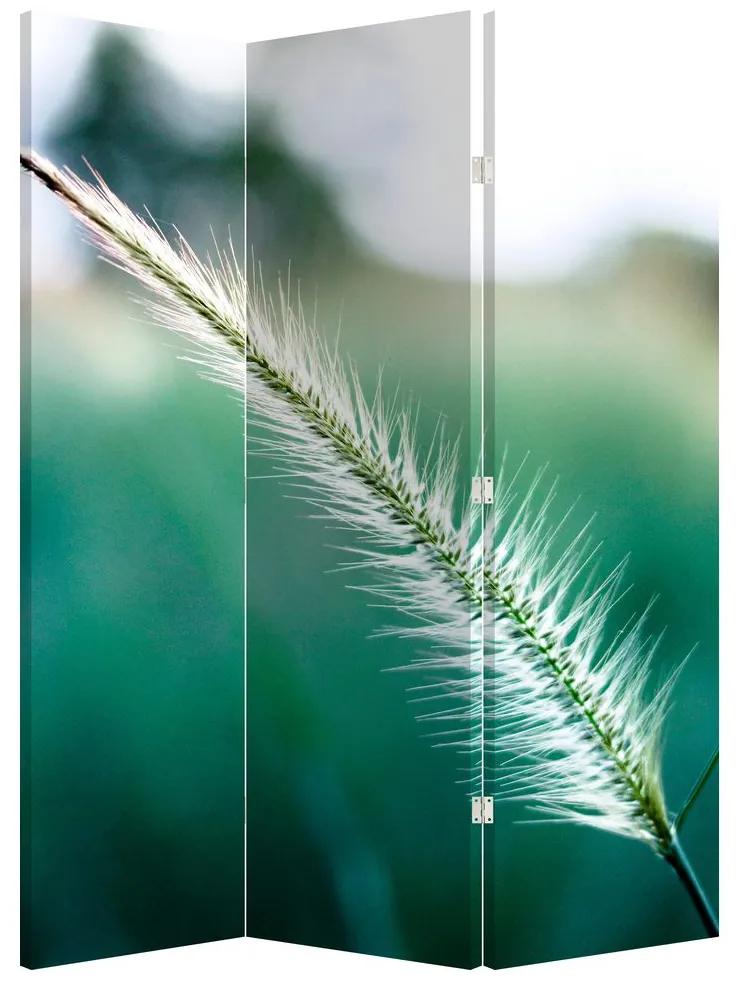 Paraván - Steblo trávy (126x170 cm)