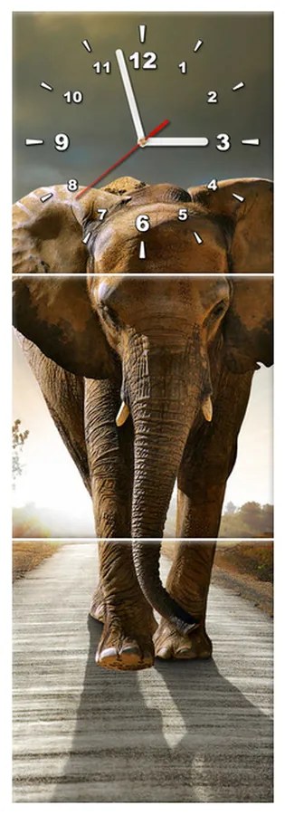 Gario Obraz s hodinami Osamelý silný slon - 3 dielny Rozmery: 90 x 70 cm