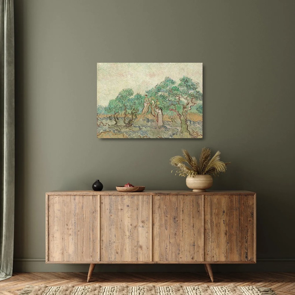 Sklenený obraz - Vincent van Gogh, The Olive Orchard, reprodukcia (70x50 cm)