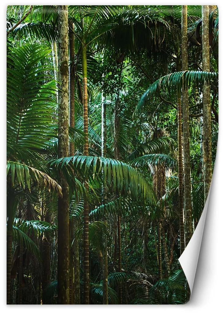 Gario Fototapeta Tropické stromy na ostrove Materiál: Vliesová, Rozmery: 100 x 140 cm