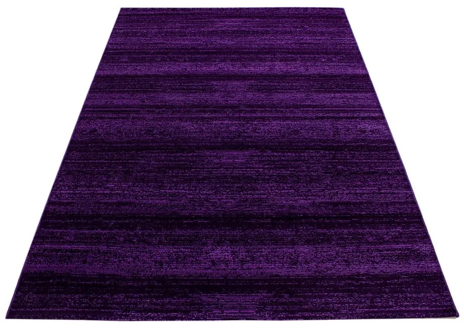 Tmavofialový koberec 140x200 cm Plus – Ayyildiz Carpets