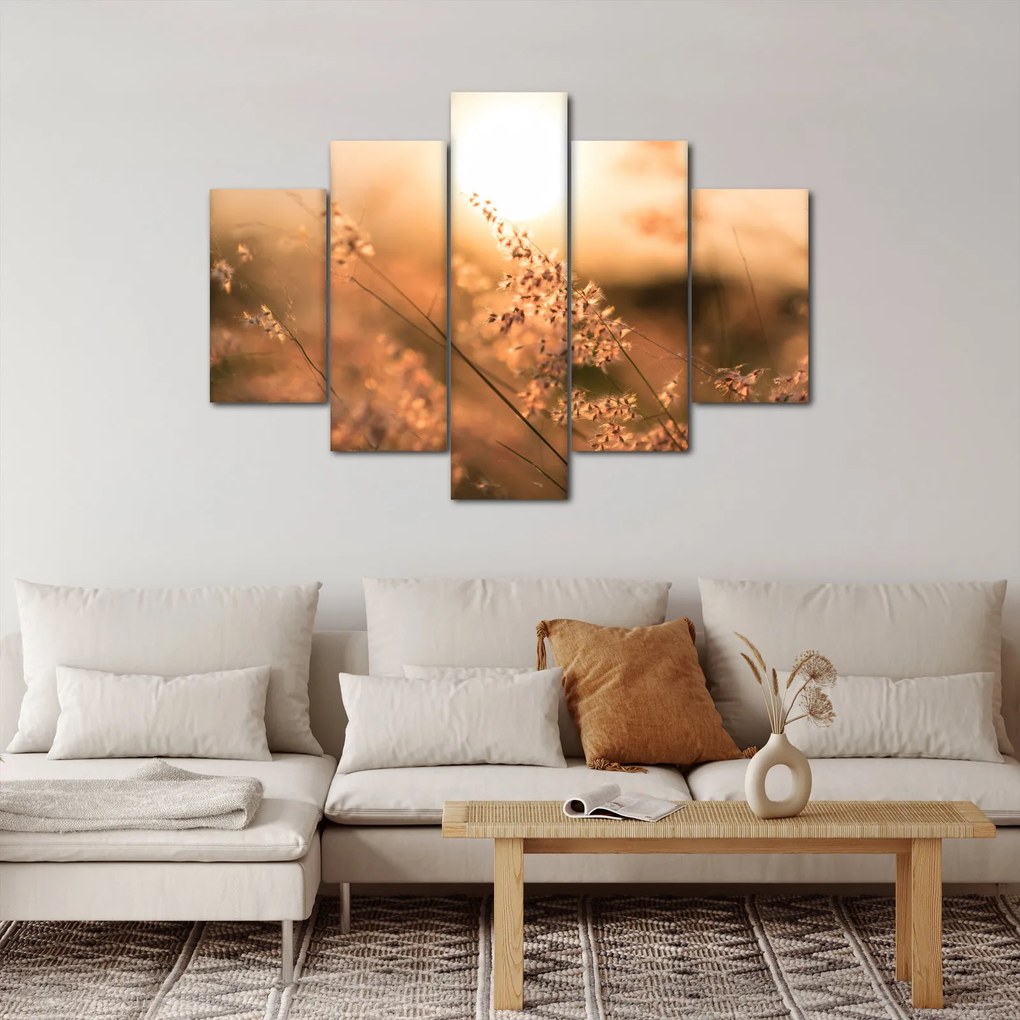 Obraz - Tráva na slnku (150x105 cm)