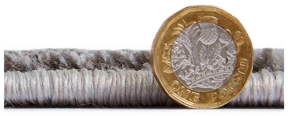 Sivý koberec 80x150 cm Apollo – Think Rugs