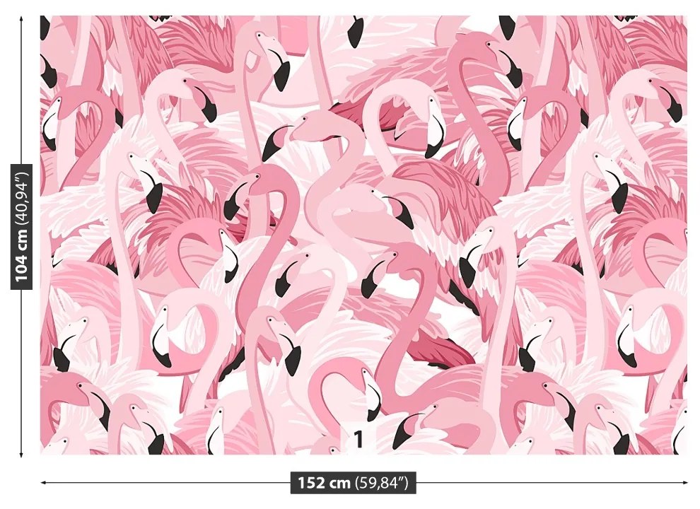 Fototapeta Vliesová Ružové plameniaky 416x254 cm