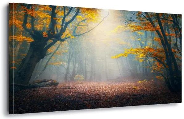 GLIX Obraz na plátne - The Enchanted Forest 60x40 cm
