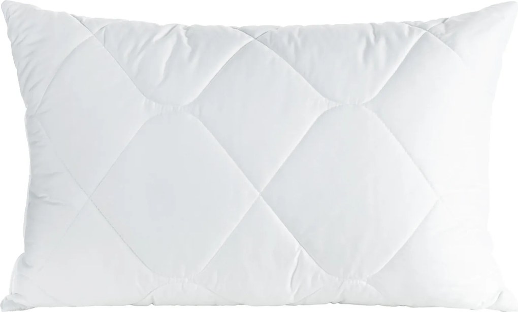 VANKÚŠ SILVER 50X70 CM BIELA