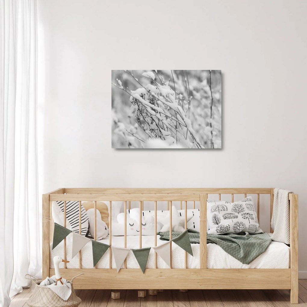 Sklenený obraz - Zasnežené vetvy (70x50 cm)