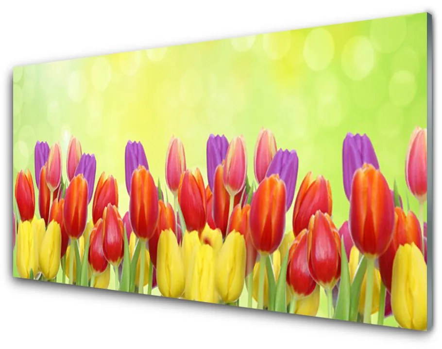 Sklenený obklad Do kuchyne Tulipány kvety rastlina 100x50 cm