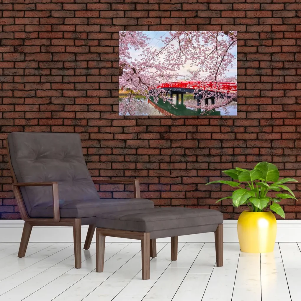 Sklenený obraz - Hirosaki, Japonsko (70x50 cm)