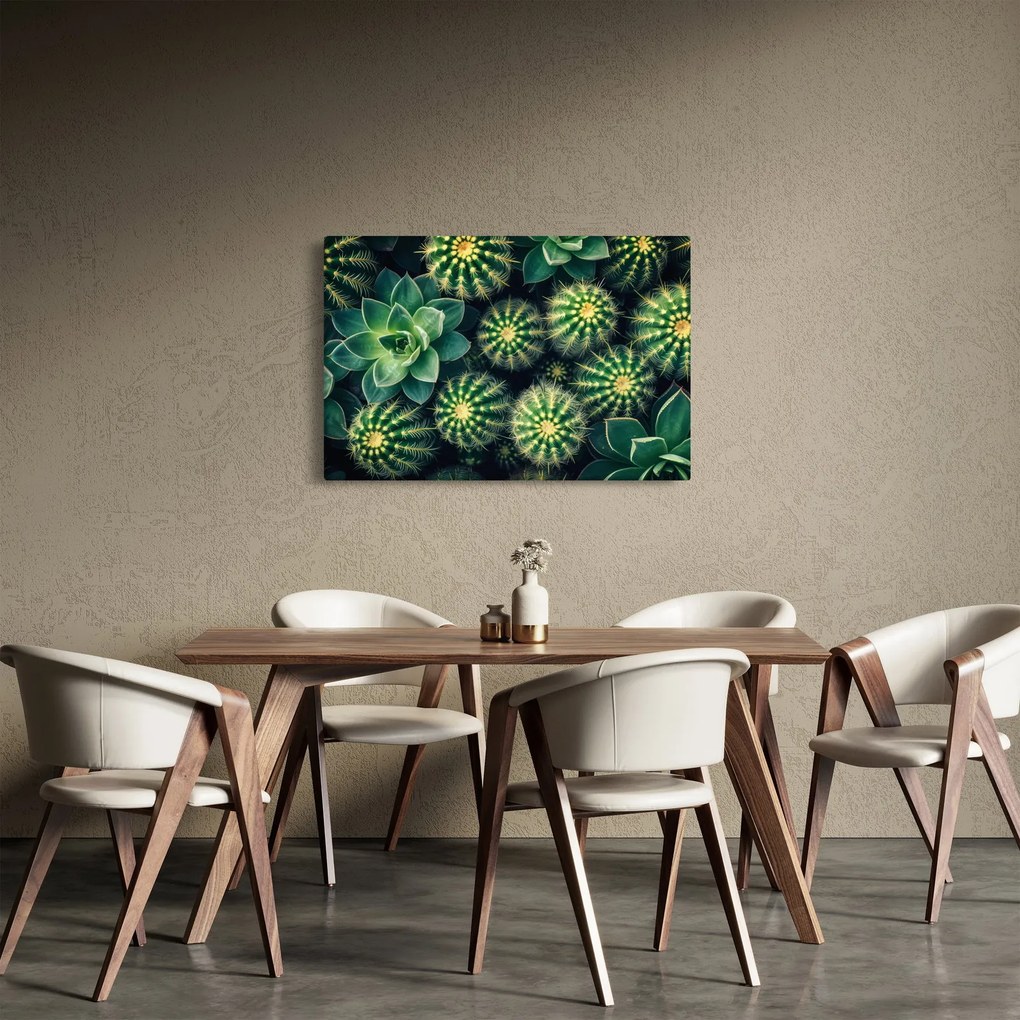 Obraz - Kaktusy (90x60 cm)