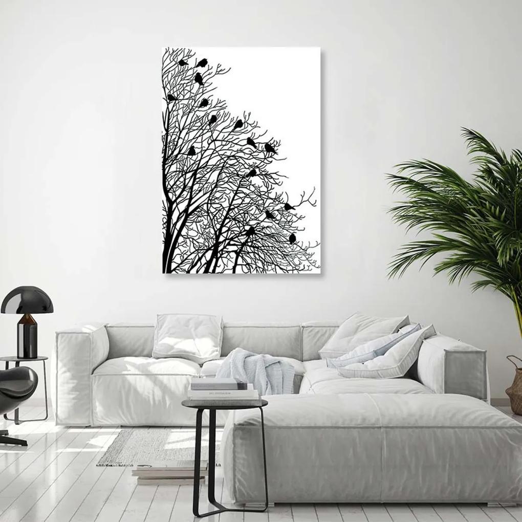 Obraz na plátně Ptáci na větvi Černá Bílá - 60x90 cm