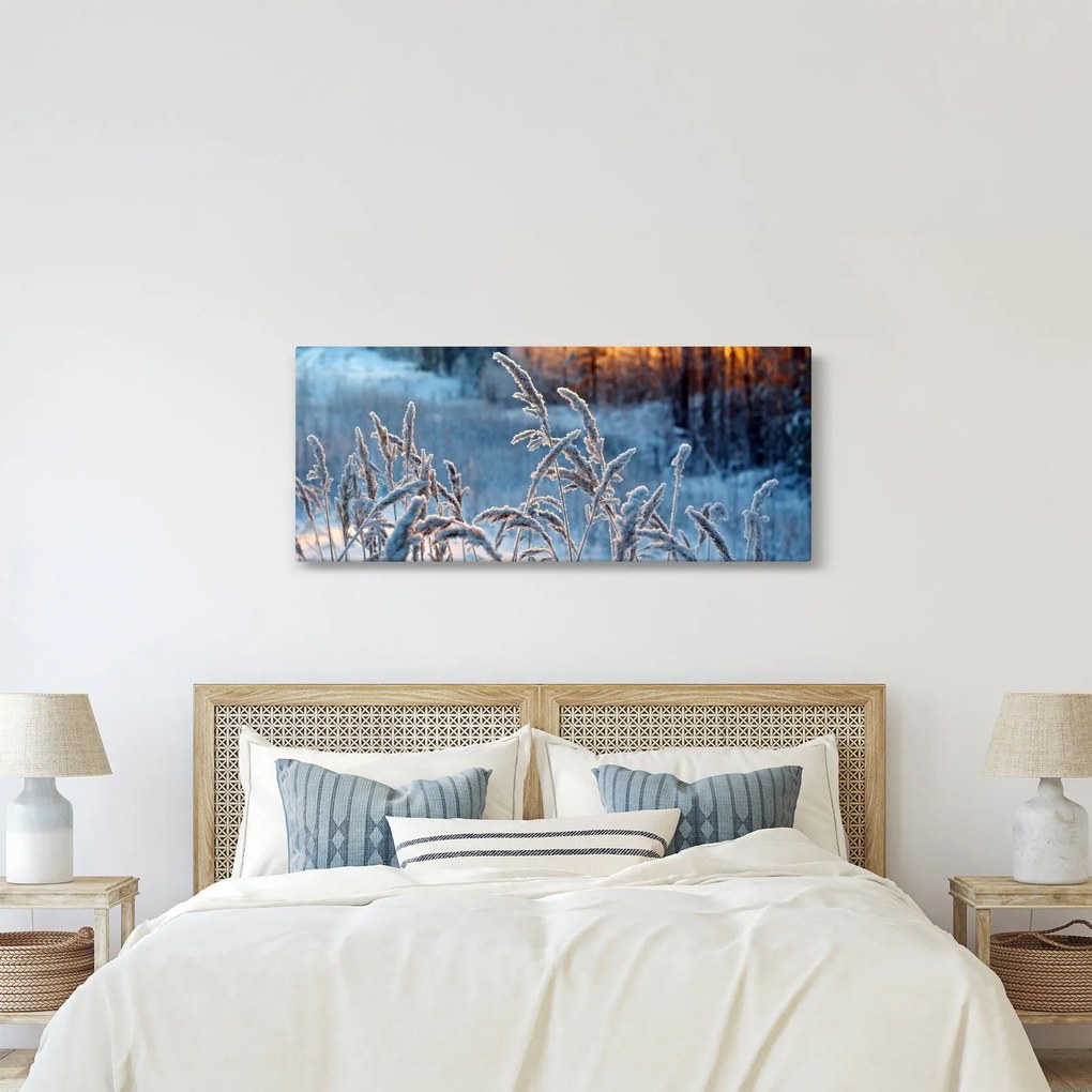 Obraz - Zimná lúka (120x50 cm)