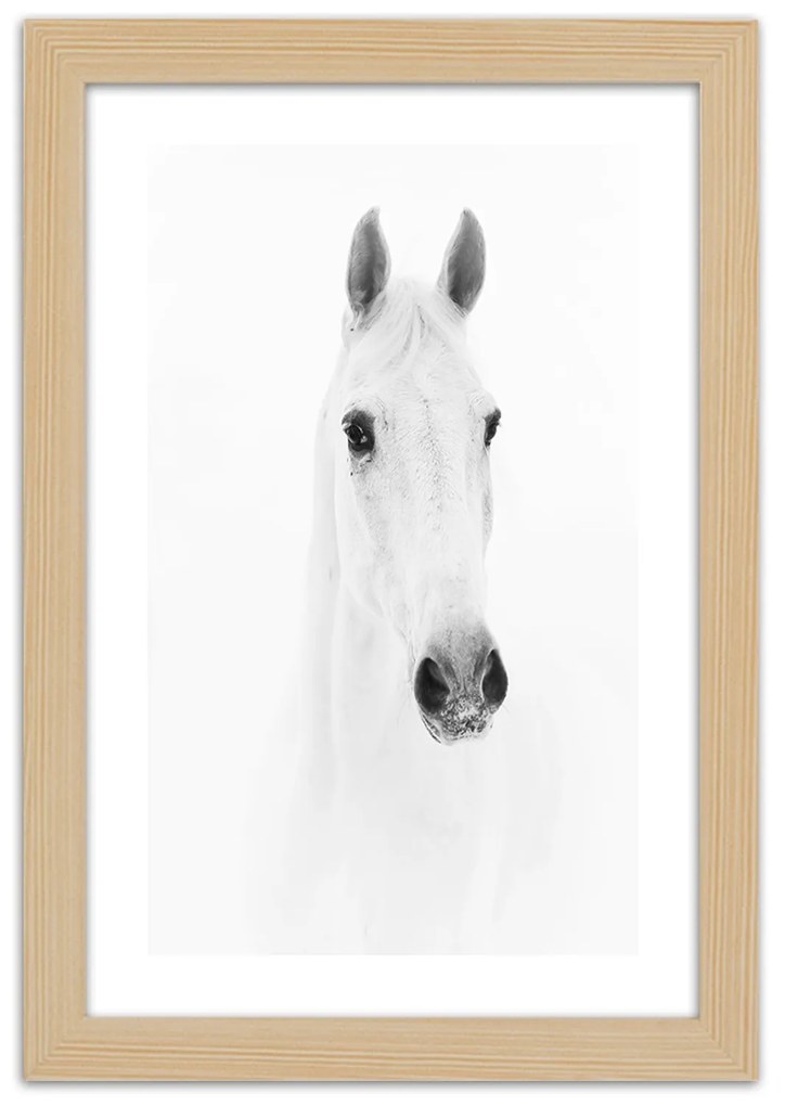 Gario Plagát Sivý kôň Farba rámu: Bez rámu, Rozmery: 70 x 100 cm