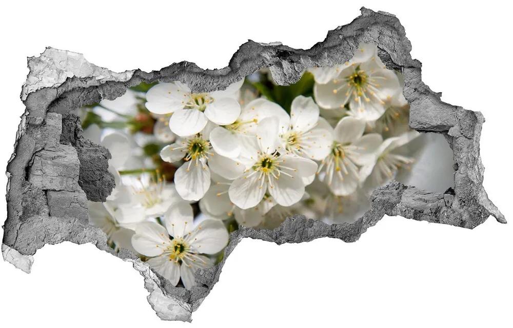 Samolepiaca diera nálepka Čerešňové kvety nd-b-85335086