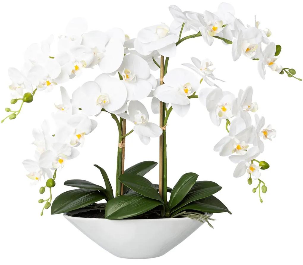 Gasper Orchidea v keramickej miske, 53 cm