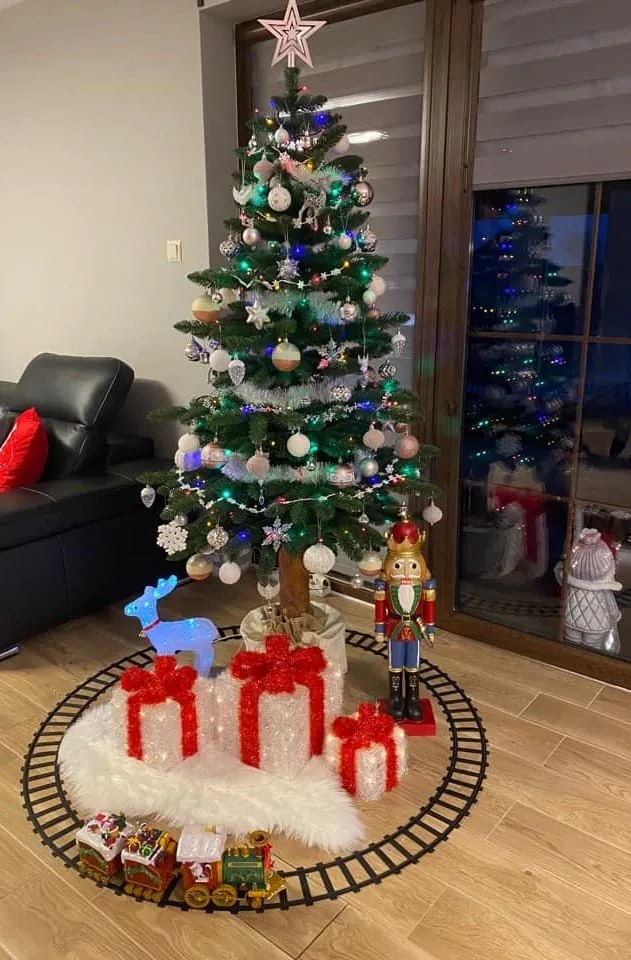 Jedľa Karpatská na pni 190cm