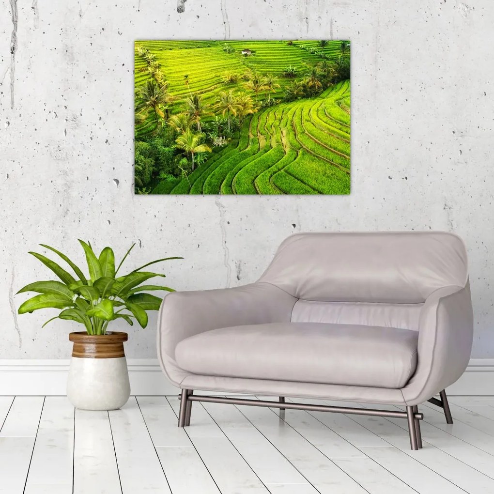 Sklenený obraz - Ryžové terasy (70x50 cm)