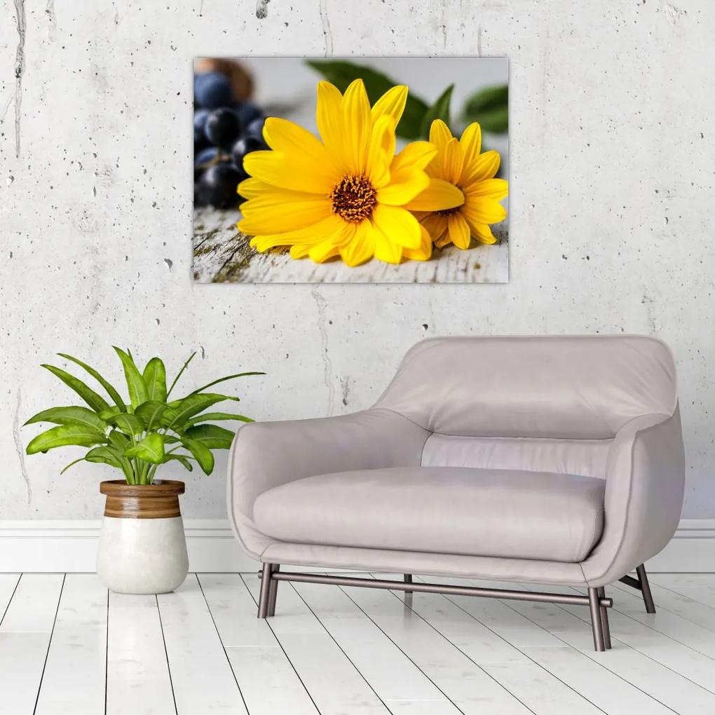 Obraz žltých kvetov (70x50 cm)