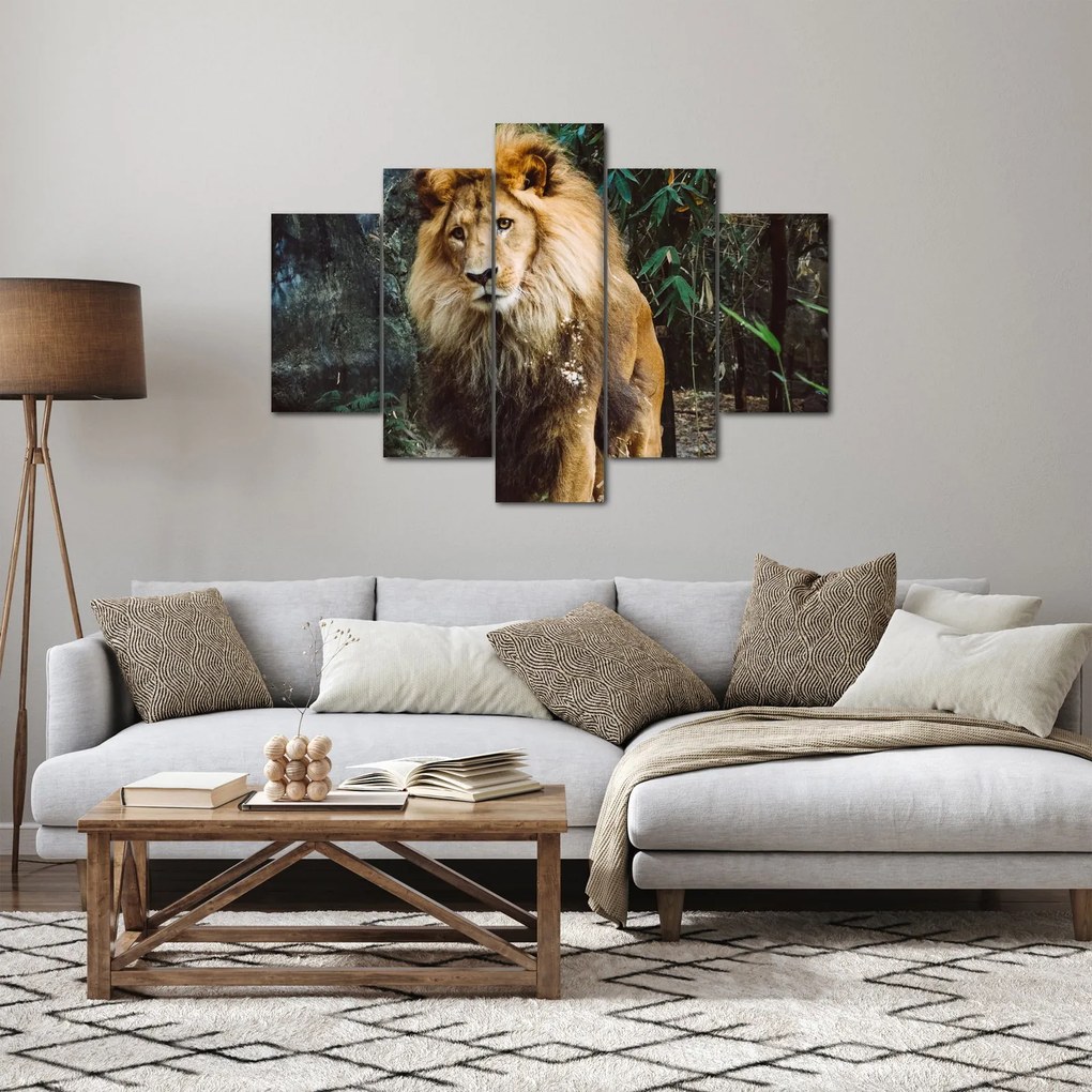 Obraz leva v prírode (150x105 cm)