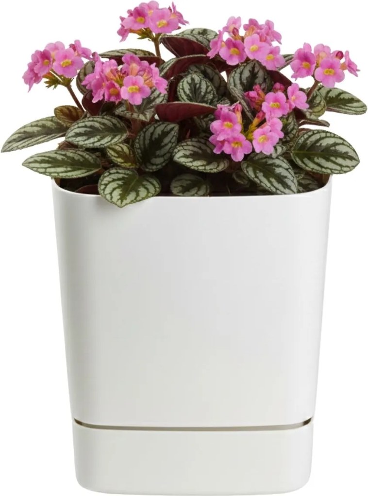 PLASTOVÝ KVETINÁČ CUBI 16X17,5 CM KRÉMOVÁ