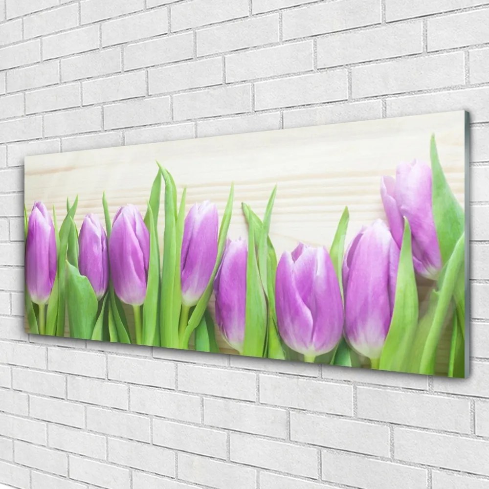 Obraz plexi Tulipány kvety príroda 125x50 cm